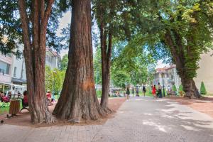 Appartements Appartement Le Venise : photos des chambres