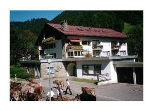 Sport-Alpin-Wohnung-9