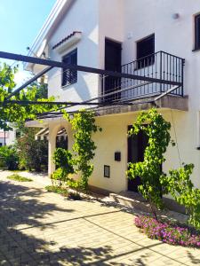 Apartment Olive Groove 