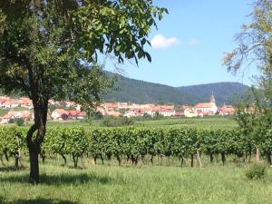 Maisons de vacances Le voyage d'UBUNTU : photos des chambres
