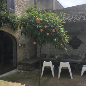 B&B / Chambres d'hotes Lunel Bien-etre : photos des chambres