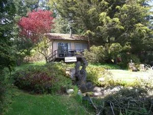 Driftwood Village Cottages - Saturna Island