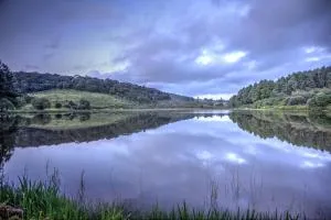 Pavetta Country House - Bandelierkop