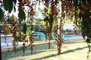 Pousada Recanto da Estação - 圣埃斯皮里图-皮尼亚尔