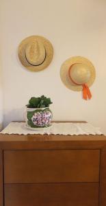 Grande Tranquilidade