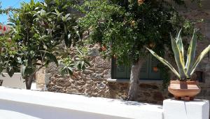 Granny's Olive Mill Villa Lasithi Greece