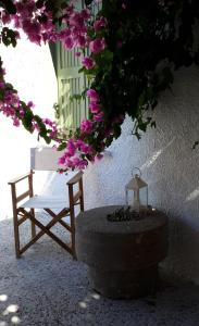 Granny's Olive Mill Villa Lasithi Greece