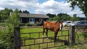 De Priesnitzhoeve - Spankeren