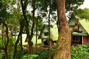 Misty Woods Resort - Kakkabe