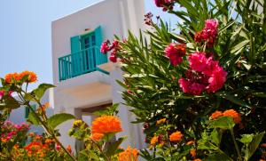 Naoussa Bay Villas Paros Greece