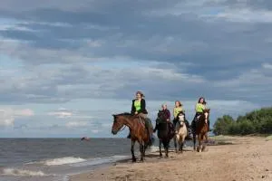 阿尔马骑马农场度假酒店 - Rutja