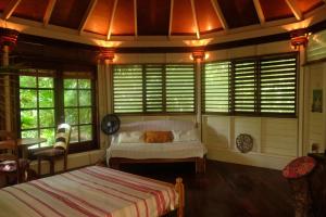 Jungle Cocoon