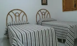 Cocco e Bebe - SantʼAntonio