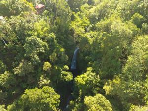 Adila Warung and Homestay