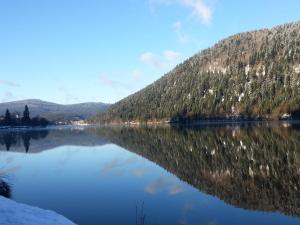 Chalets Chalet Biazot : photos des chambres