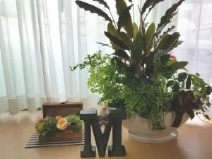 Villa M Guesthouse - Kurabe