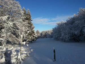 Chalets Chalet Biazot : photos des chambres
