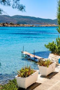Island Apartments Samos Greece