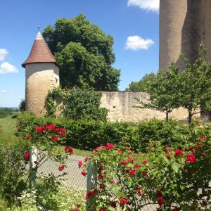 Maisons de vacances La Grange de Verseilles : photos des chambres