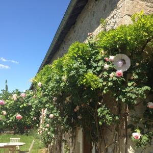 Maisons de vacances La Grange de Verseilles : photos des chambres