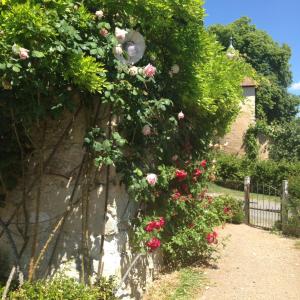 Maisons de vacances La Grange de Verseilles : photos des chambres