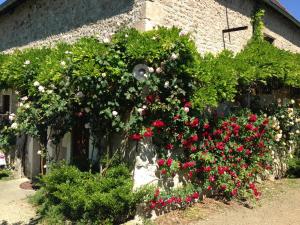 Maisons de vacances La Grange de Verseilles : photos des chambres