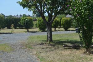 Maisons de vacances Gite dans le vignoble de Bourgueil : photos des chambres