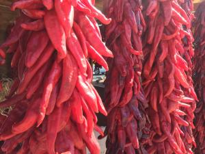 Casa de Tres LunasHouse of Three Moons