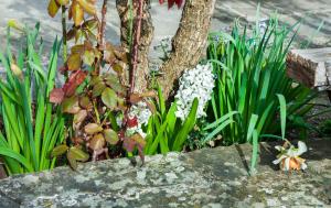 Dias Guesthouse Zagori Greece