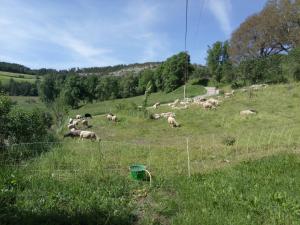 Les logis de Lucie