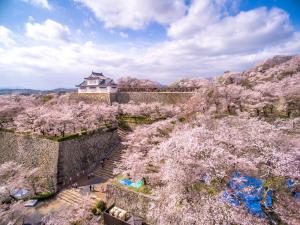 Daiwa Roynet Hotel Okayama Ekimae