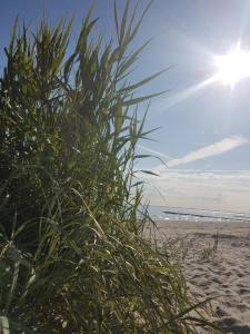 Klintholm Marina Park Cabins