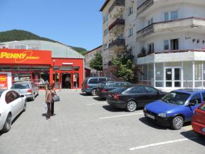 One-Bedroom Apartment room in Casa BUCUR