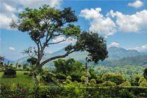 Ancoombra Tea Estate Bungalow