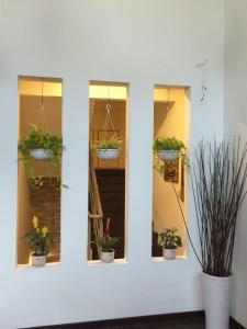 Facilities