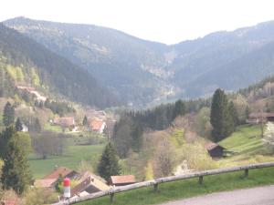 Chalets Chalet Biazot : photos des chambres