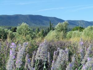 B&B / Chambres d'hotes La mordoree : photos des chambres