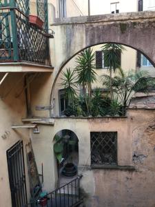 Behind Navona