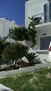 Matsas Windmill Paros Greece