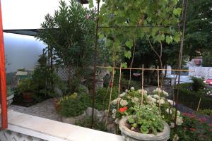 Apartment Biba