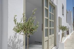 Elegant Apartments Naxos Greece