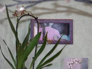 B&B / Chambres d'hotes Croix Blanche : photos des chambres
