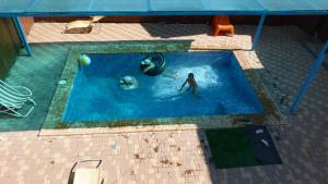 One-Bedroom Suite room in Kalipso