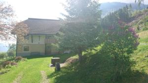 Chalets Alpin Kronhof