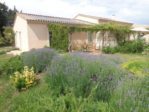 Chalet Gîte paysan Les Fiolles Aureille Francia