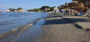 Olive Grove Apts Zakynthos Greece