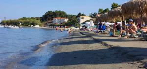 Olive Grove Apts Zakynthos Greece