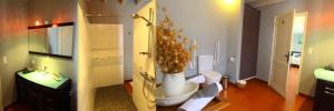 B&B / Chambres d'hotes Luxury B&B Maison a votre Sante, in Bordeaux wine region : photos des chambres