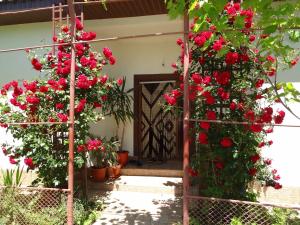 Casa Ghemus Costinesti