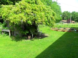 B&B / Chambres d'hotes Aux Cadollines : Chambre Double - Vue sur Parc